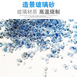 金龙鱼能卖多少钱一条：金龙鱼的价格受哪些因素影响？ 水族问答 第2张