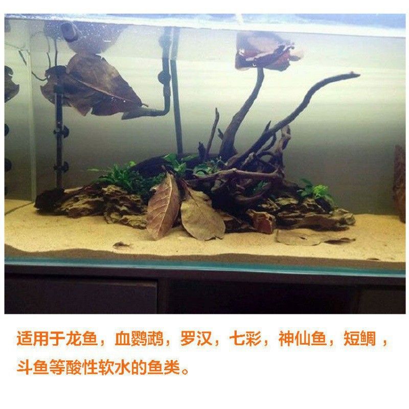 龙鱼热带鱼生物液可以放锦鲤缸里吗 龙鱼百科 第1张