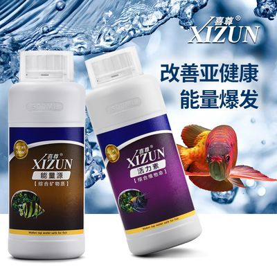 鱼缸活力素有用吗：如何判断鱼缸活力素效果 鱼缸百科 第2张