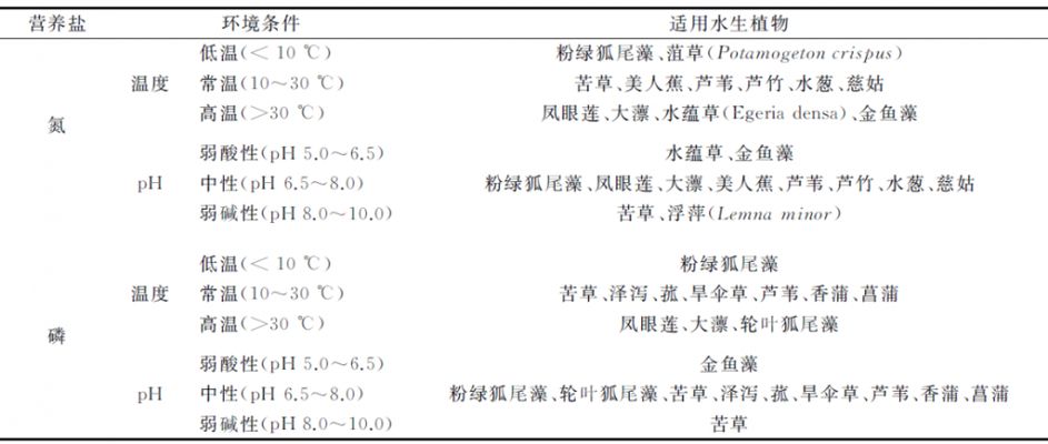 不同水质下水草的选择技巧：不同类型的水质条件下选择水草的技巧，选择水草的技巧 龙鱼百科 第5张