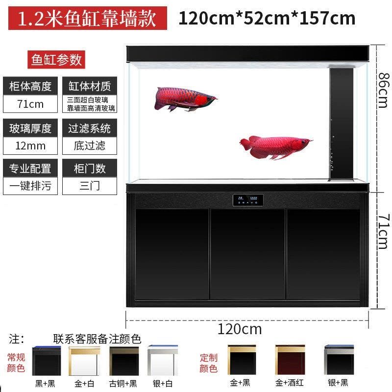 龙鱼缸多高合适：关于龙鱼缸高度的一些详细信息 鱼缸百科 第3张