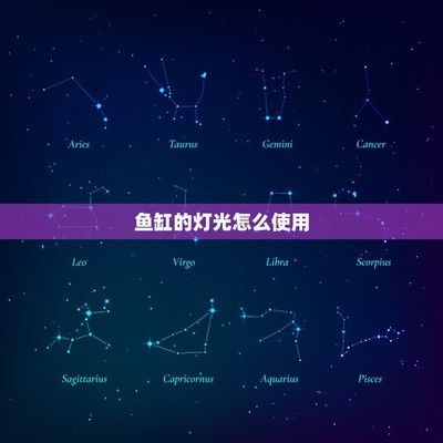 鱼缸灯光设置 鱼缸百科 第1张