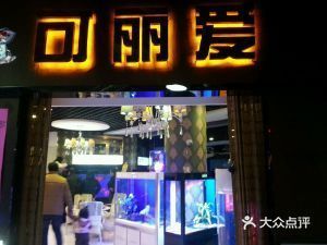 可丽爱鱼缸官网专卖店沈阳：可丽爱鱼缸官网专卖店在沈阳提供多种类型的鱼缸售后服务 鱼缸百科 第2张