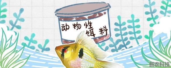 金龙鱼配方 水族问答 第2张