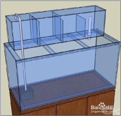 画法几何鱼缸过滤器改造：自制鱼缸过滤器改造注意事项鱼缸过滤器改造注意事项 鱼缸百科 第3张