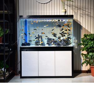 成都汉霸鱼缸专卖店：成都汉霸鱼缸专卖店成都水族馆设计施工 鱼缸百科 第5张