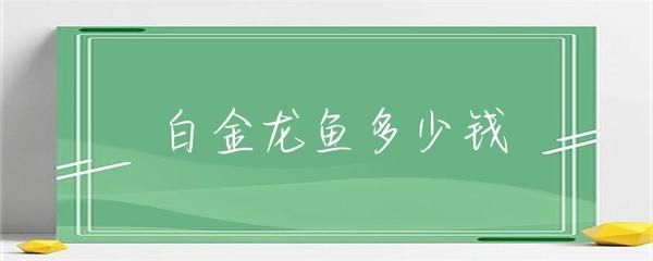 龙鱼眼上有一道白是什么：龙鱼眼睛上出现白线可能由多种原因引起，如何判断龙鱼健康状况