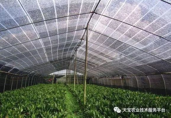 夏季鱼缸遮阳网选择技巧：夏季鱼缸遮阳网的选择 鱼缸百科 第2张