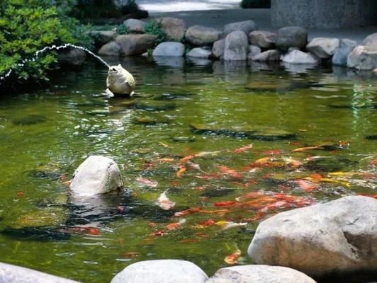 夏季鱼缸遮阳网选择技巧：夏季鱼缸遮阳网的选择 鱼缸百科 第5张