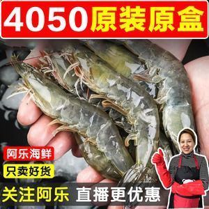 龙鱼怎么喂虾：如何自制龙鱼虾饲料，龙鱼喂虾的最佳时间 龙鱼百科 第5张