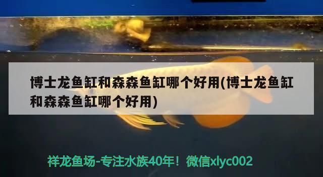 祥龙鱼缸怎么样好用吗：祥龙鱼缸用户评价如何 鱼缸百科 第3张