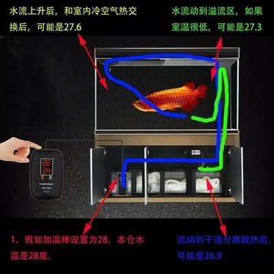 鱼缸加热棒什么品牌好：探索鱼缸加热棒选择指南 鱼缸百科 第4张