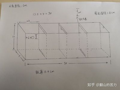 鱼缸出水方式哪种好：选择鱼缸出水方式时需根据过滤类型和布置情况综合考虑 鱼缸百科 第3张