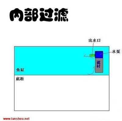 鱼缸出水方式哪种好：选择鱼缸出水方式时需根据过滤类型和布置情况综合考虑 鱼缸百科 第4张