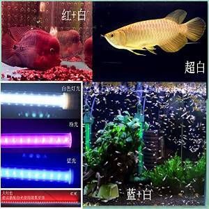 鱼缸LED灯光照品牌推荐：鱼缸led灯性能对比水族灯全光谱效果评测 鱼缸百科 第2张