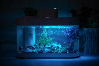 鱼缸LED灯光照品牌推荐：鱼缸led灯性能对比水族灯全光谱效果评测 鱼缸百科 第6张