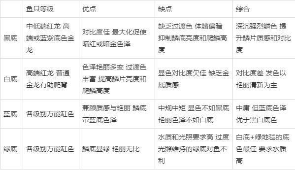 龙鱼底色：如何通过观察龙鱼底色来初步判断其健康状况 龙鱼百科 第3张