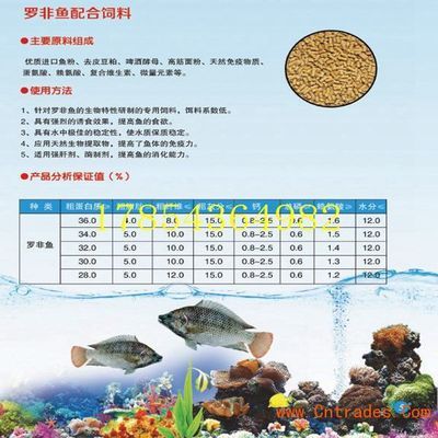 金龙鱼食量小的原因分析：关于金龙鱼食量的问题 水族问答 第1张