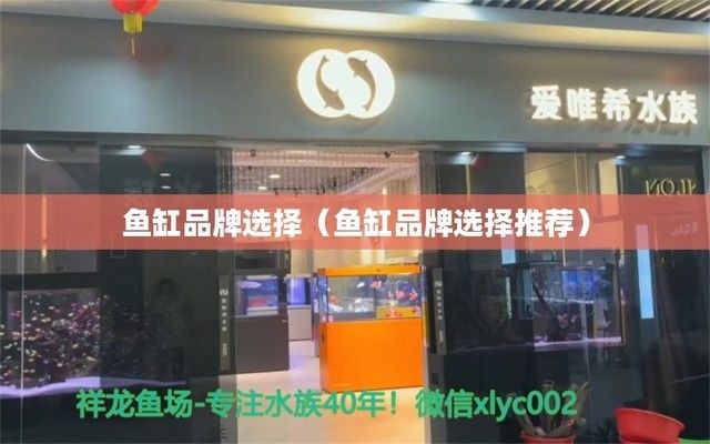 金龙鱼食品饮料：选择金龙鱼食品饮料有什么特别的考虑吗？ 水族问答 第5张