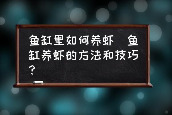 虾躲在鱼缸角落：如何判断虾是否适应新环境