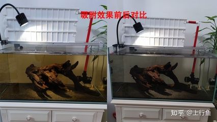 鱼缸品牌知乎推荐：闽江水族鱼缸品牌介绍 鱼缸百科 第3张