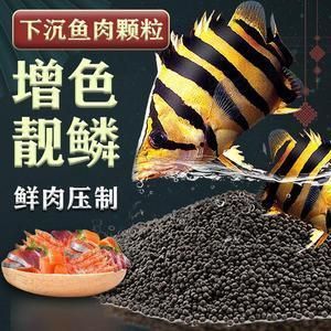 金龙鱼食欲不振咋办：金龙鱼食欲不振怎么办 水族问答 第1张