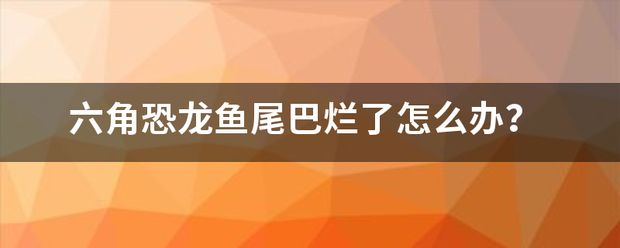 六角恐龙鱼食物：六角恐龙鱼尾巴烂了怎么办 龙鱼百科 第2张