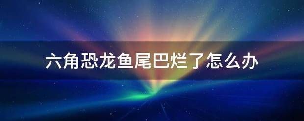 六角恐龙鱼食物沉底了就不会吃了吗：六角恐龙鱼烂尾怎么办 龙鱼百科 第10张