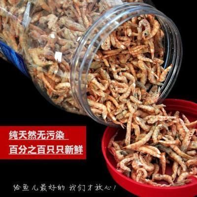 龙鱼多少温度最好：龙鱼的饲养技术 龙鱼百科 第9张