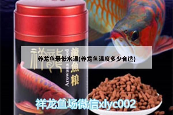 冬天龙鱼缸温度多少合适：冬季饲养龙鱼水温的控制 龙鱼百科 第15张