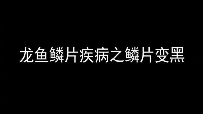 龙鱼个别鱼鳞发黑：龙鱼个别鱼鳞发黑怎么办 龙鱼百科 第4张