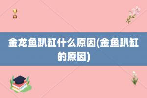 金龙鱼老在缸底下趴着是什么情况：金龙鱼老在缸底下趴着是什么情况下趴着是什么情况 龙鱼百科 第3张