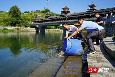 金龙鱼是日本的吗：金龙鱼不是日本的，而是中国广东省佛山市顺德区的一个品牌 水族问答 第1张