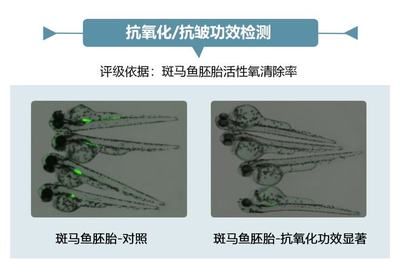 龙鱼拉白便是什么原因：龙鱼拉白便是什么原因详情 龙鱼百科 第2张