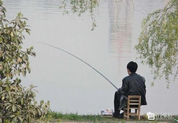 龙鱼缸水温32度需要增氧吗：龙鱼在32度水温下生存需要考虑以下几个方面 龙鱼百科 第2张