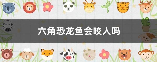 六角恐龙鱼被咬伤了怎么办：六角恐龙鱼咬伤了怎么办 龙鱼百科 第3张