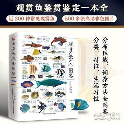 金龙鱼是中国500强吗：益海嘉里金龙鱼旗下13家企业入选中国农业500强榜单 水族问答