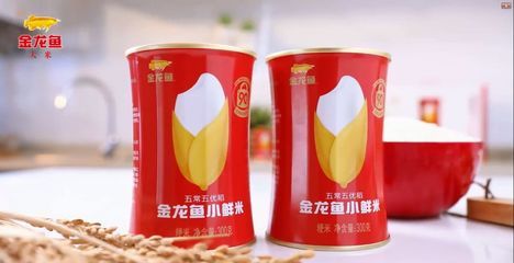 金龙鱼食用油标准号是什么：金龙鱼食用油(龙鱼杀菌用什么药最好 龙鱼百科 第5张