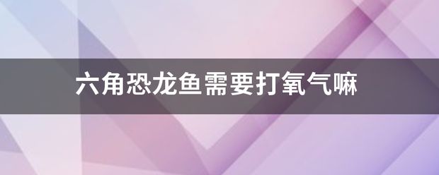 六角龙鱼最爱吃什么：六角恐龙鱼需要打氧气吗 龙鱼百科 第8张