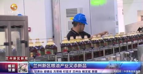 金龙鱼用什么过滤器材最好：金龙鱼最佳过滤材料选择指南，金龙鱼在养殖过程中如何选择 龙鱼百科 第1张