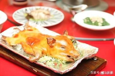 金龙鱼用什么过滤器材最好：金龙鱼最佳过滤材料选择指南，金龙鱼在养殖过程中如何选择 龙鱼百科 第5张