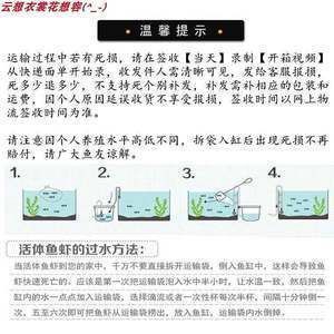 龙鱼翻腮手术能痊愈吗：龙鱼打包安全注意事项和注意事项和注意事项和注意事项 龙鱼百科 第5张