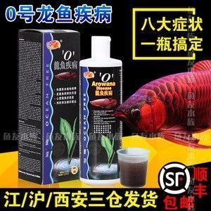 龙鱼 泥鳅：如何治疗龙鱼烂鳍烂尾 龙鱼百科 第6张