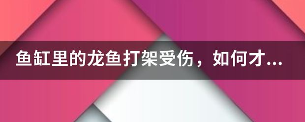 龙鱼缸的水多久换一次：龙鱼撞缸受伤了能自愈吗 龙鱼百科 第9张