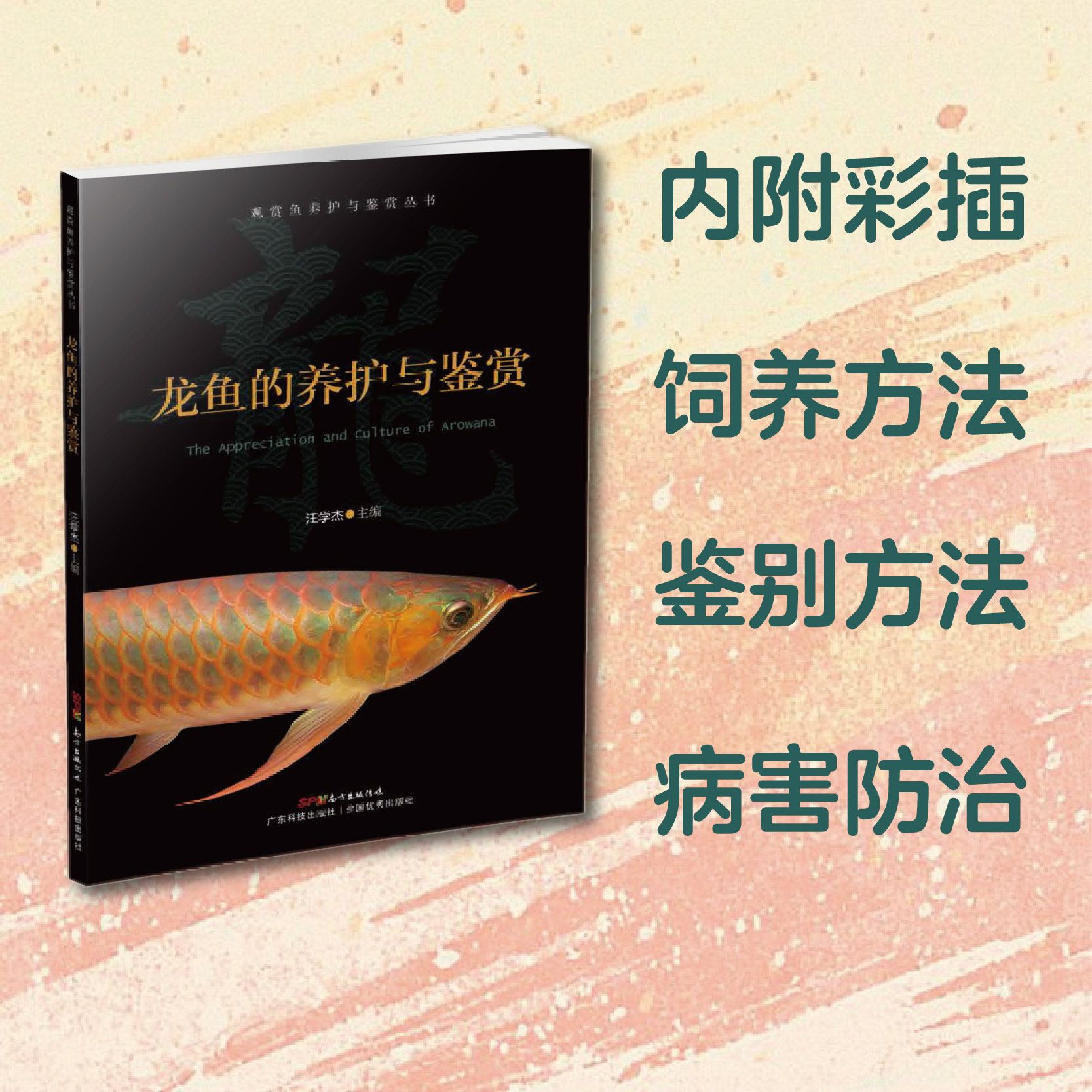 龙鱼养殖技术与方法图解：红龙鱼养殖技术与养殖技术与方法，红龙鱼的养殖技术与方法 龙鱼百科 第2张