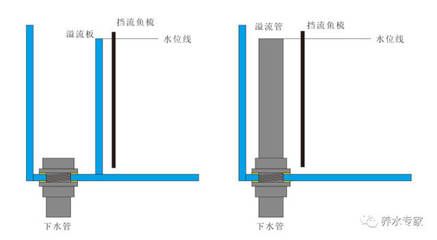 两个鱼缸怎么连起来：如何将两个鱼缸连接在一起 鱼缸百科 第2张