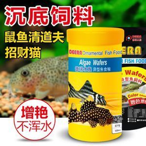 招财猫鱼繁殖期饲料品牌推荐：招财猫鱼繁殖期营养需求，自制招财猫鱼饲料添加剂 龙鱼百科 第3张