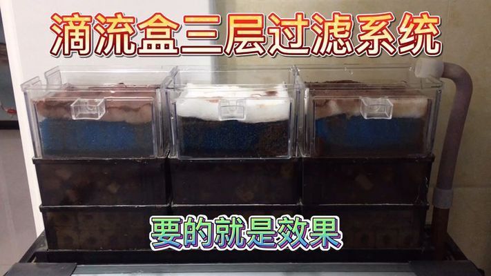 靖童鱼缸：靖童鱼缸买家秀图片欣赏靖童鱼缸优惠活动查询 鱼缸百科 第2张