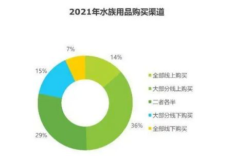 花小鱼鱼缸怎么样：小鱼缸适宜养哪些鱼种 鱼缸百科 第4张