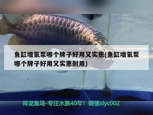 鱼缸除藻剂会死鱼吗：鱼缸除藻剂在使用时若能控制好量，对鱼的健康会造成危害 鱼缸百科 第3张